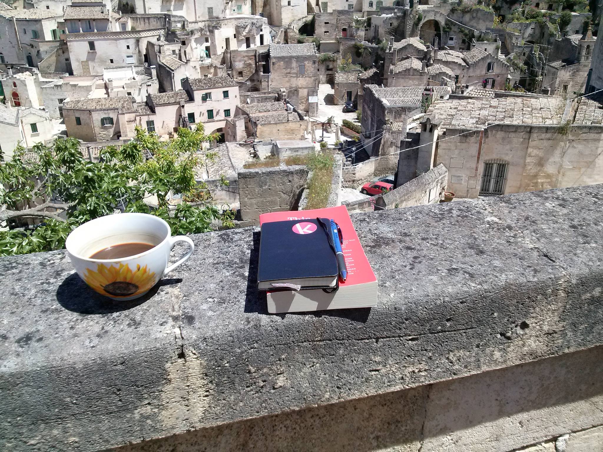 1501602_10152472395171840_5361838307860990751_o